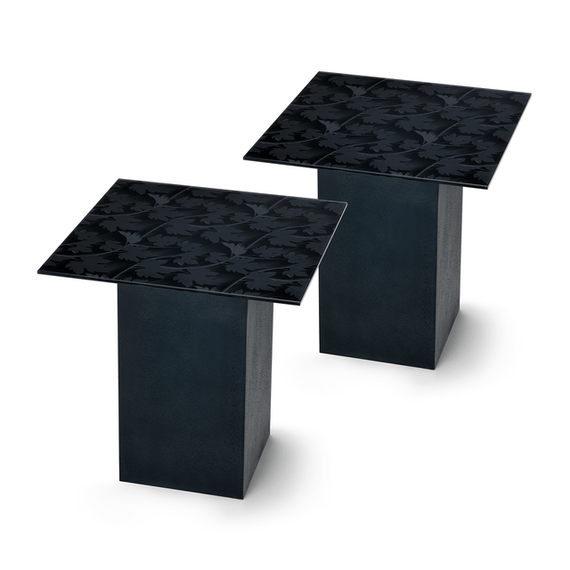 BLACK FOREST 2-pc. End Table Set with Matte Black Base